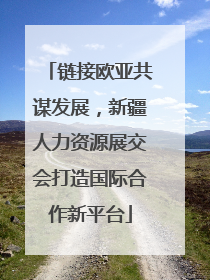 链接欧亚共谋发展，新疆人力资源展交会打造国际合作新平台