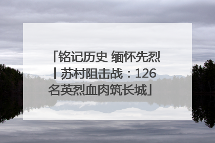 铭记历史 缅怀先烈丨苏村阻击战：126名英烈血肉筑长城