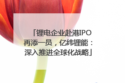 锂电企业赴港IPO再添一员，亿纬锂能：深入推进全球化战略