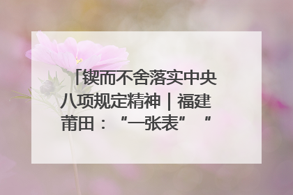 锲而不舍落实中央八项规定精神｜福建莆田：“一张表”“一张图”为基层减轻“数字负担”