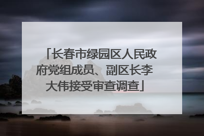 长春市绿园区人民政府党组成员、副区长李大伟接受审查调查