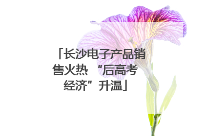 长沙电子产品销售火热 “后高考经济”升温