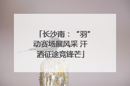 长沙南：“羽”动赛场展风采 汗洒征途竞锋芒