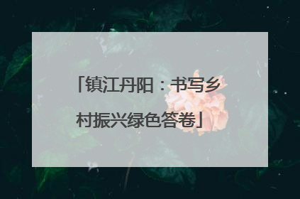 镇江丹阳：书写乡村振兴绿色答卷