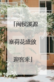 闽侯溪源寨荷花盛放迎客来