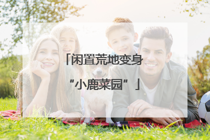 闲置荒地变身“小鹿菜园”