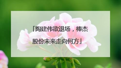 陶建伟欲退场，棒杰股份未来走向何方