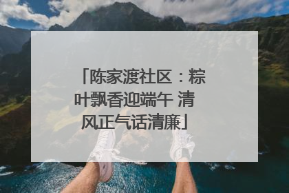陈家渡社区：粽叶飘香迎端午 清风正气话清廉