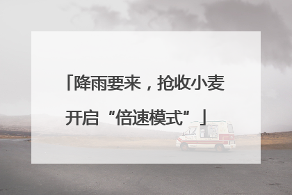 降雨要来，抢收小麦开启“倍速模式”