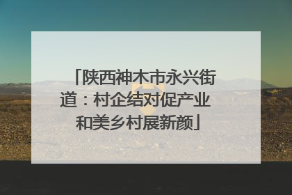 陕西神木市永兴街道：村企结对促产业 和美乡村展新颜