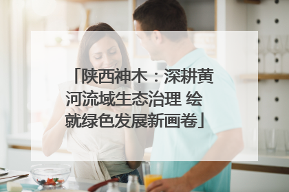 陕西神木：深耕黄河流域生态治理 绘就绿色发展新画卷