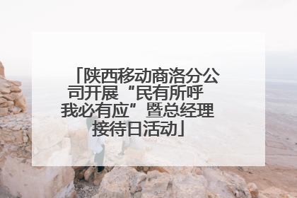 陕西移动商洛分公司开展“民有所呼 我必有应”暨总经理接待日活动