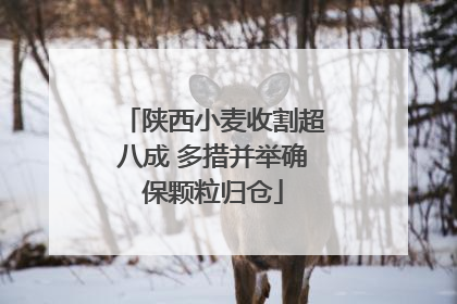 陕西小麦收割超八成 多措并举确保颗粒归仓