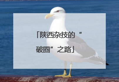 陕西杂技的“破圈”之路