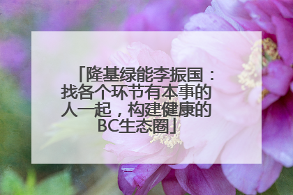隆基绿能李振国：找各个环节有本事的人一起，构建健康的BC生态圈