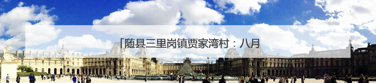 随县三里岗镇贾家湾村：八月瓜缀满藤，山野孕育甜蜜希望
