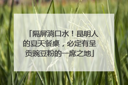 隔屏淌口水！昆明人的夏天餐桌，必定有呈贡豌豆粉的一席之地