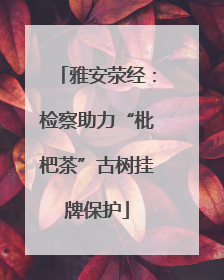雅安荥经：检察助力“枇杷茶”古树挂牌保护
