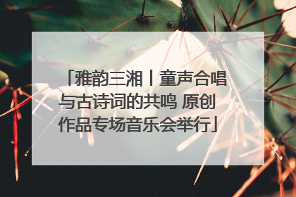 雅韵三湘丨童声合唱与古诗词的共鸣 原创作品专场音乐会举行