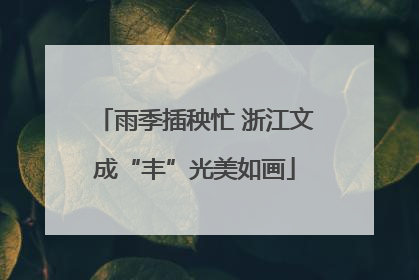 雨季插秧忙 浙江文成“丰”光美如画