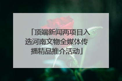 顶端新闻两项目入选河南文物全媒体传播精品推介活动