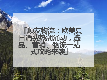 顺友物流：欧美夏日消费热潮涌动，选品、营销、物流一站式攻略来袭