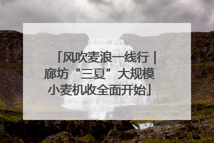 风吹麦浪一线行｜廊坊“三夏”大规模小麦机收全面开始