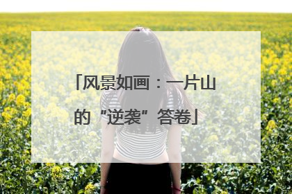 风景如画：一片山的“逆袭”答卷