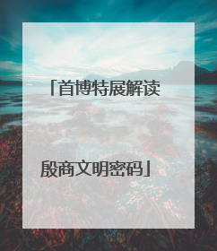 首博特展解读殷商文明密码