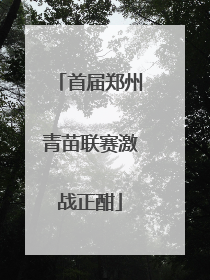 首届郑州青苗联赛激战正酣