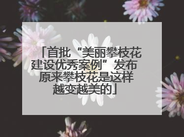 首批“美丽攀枝花建设优秀案例”发布 原来攀枝花是这样越变越美的