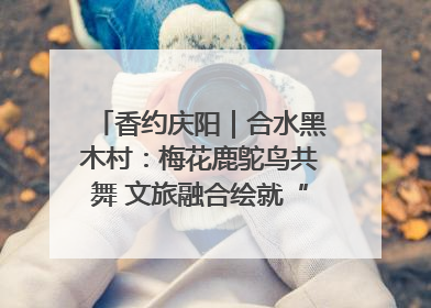香约庆阳｜合水黑木村：梅花鹿鸵鸟共舞 文旅融合绘就“诗与远方”