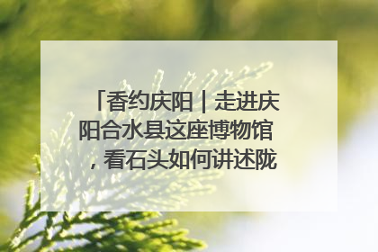 香约庆阳｜走进庆阳合水县这座博物馆，看石头如何讲述陇东千年历史
