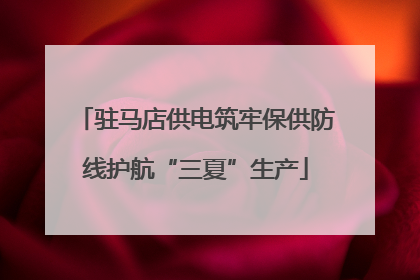驻马店供电筑牢保供防线护航“三夏”生产