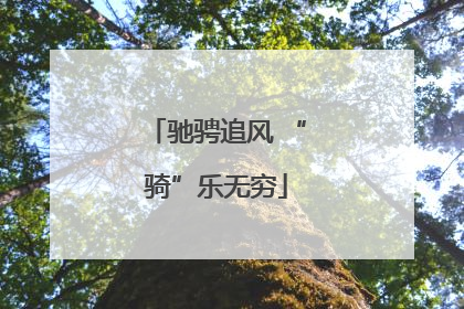 驰骋追风 “骑”乐无穷
