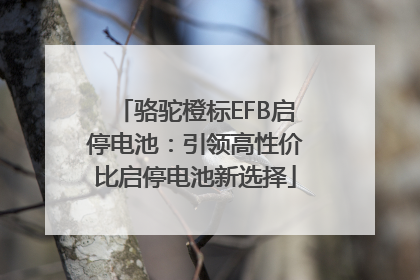 骆驼橙标EFB启停电池：引领高性价比启停电池新选择