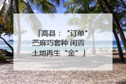 高县：“订单”苎麻巧套种 闲置土地再生“金”