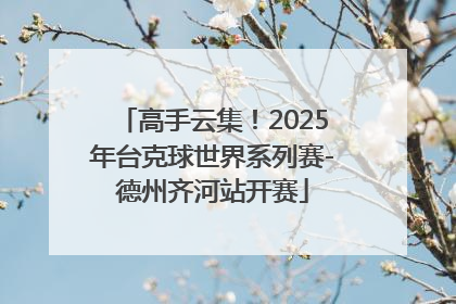 高手云集！2025年台克球世界系列赛-德州齐河站开赛