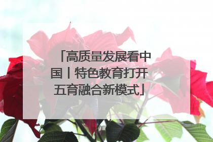 高质量发展看中国丨特色教育打开五育融合新模式