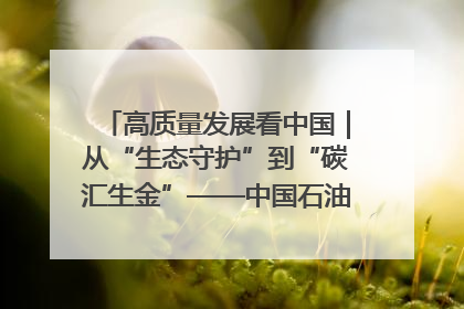 高质量发展看中国｜从“生态守护”到“碳汇生金”——中国石油大庆油田绿色蝶变