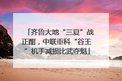 齐鲁大地“三夏”战正酣，中联重科“谷王”机手减损比武夺魁