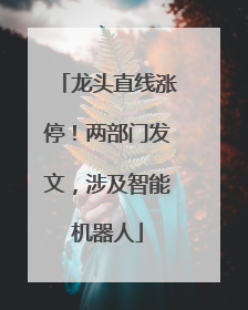 龙头直线涨停！两部门发文，涉及智能机器人