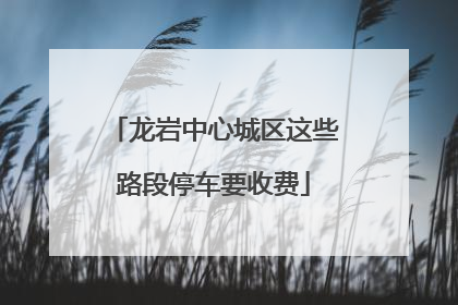 龙岩中心城区这些路段停车要收费