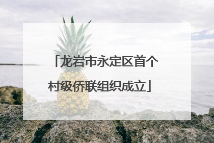 龙岩市永定区首个村级侨联组织成立
