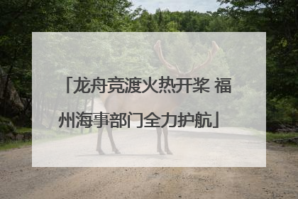 龙舟竞渡火热开桨 福州海事部门全力护航