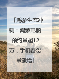 鸿蒙生态冲刺：鸿蒙电脑预约量超12万，手机备货量激增