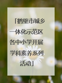 鹤壁市城乡一体化示范区各中小学开展学科素养系列活动