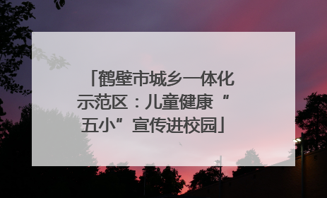 鹤壁市城乡一体化示范区：儿童健康“五小”宣传进校园