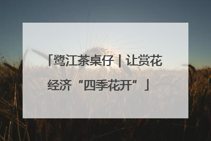 鹭江茶桌仔｜让赏花经济“四季花开”