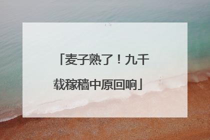 麦子熟了！九千载稼穑中原回响